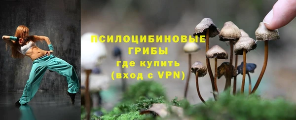 а пвп мука Заволжск