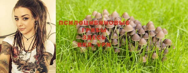 дистиллят марихуана Заводоуковск